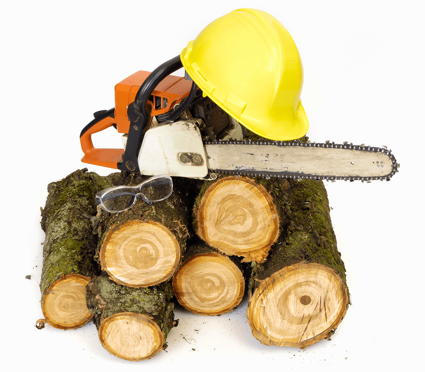 Chainsaw, helmet, and logs on white background.