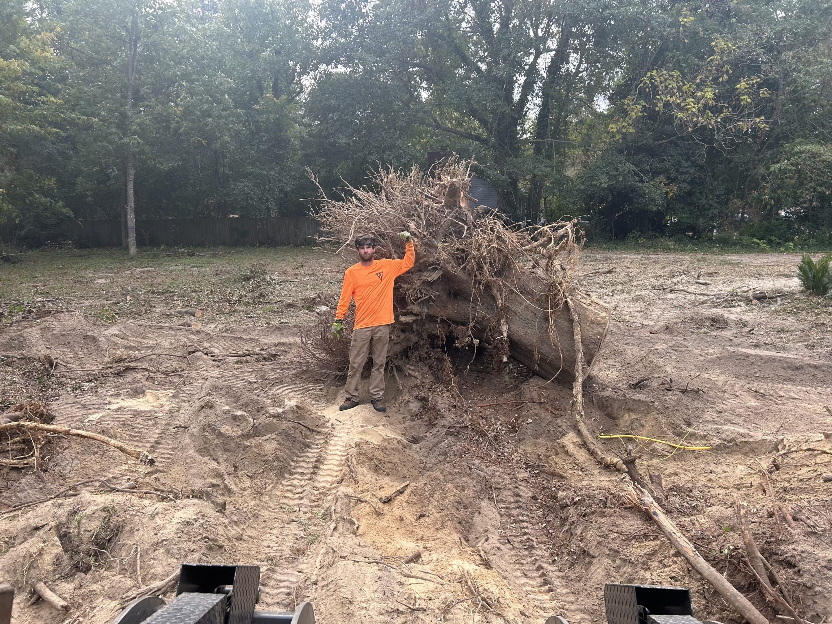A person in an orange shirt stands near a large uprooted tree outdoors.