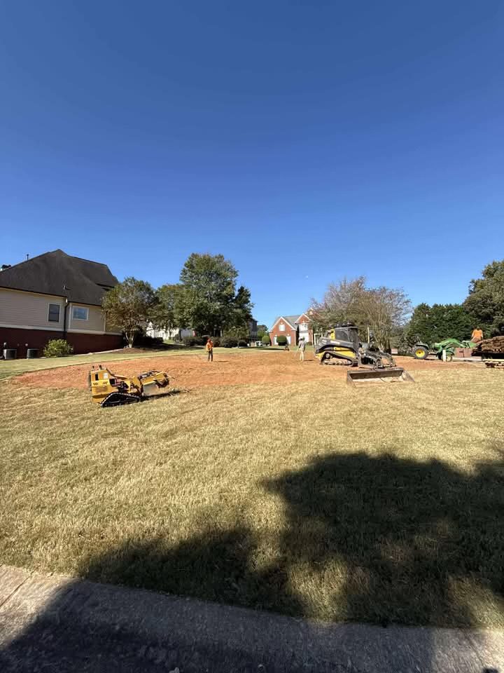 A large, sunny residential backyard with scattered trees and a clear blue sky.