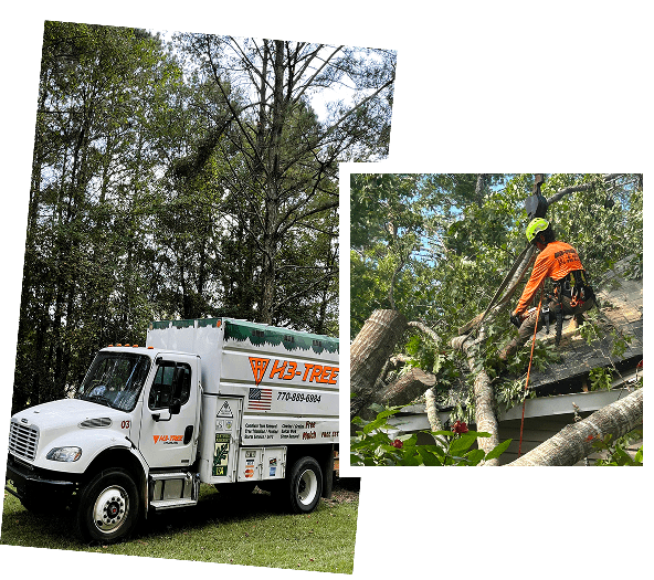 A truck and worker trimming trees with safety gear.