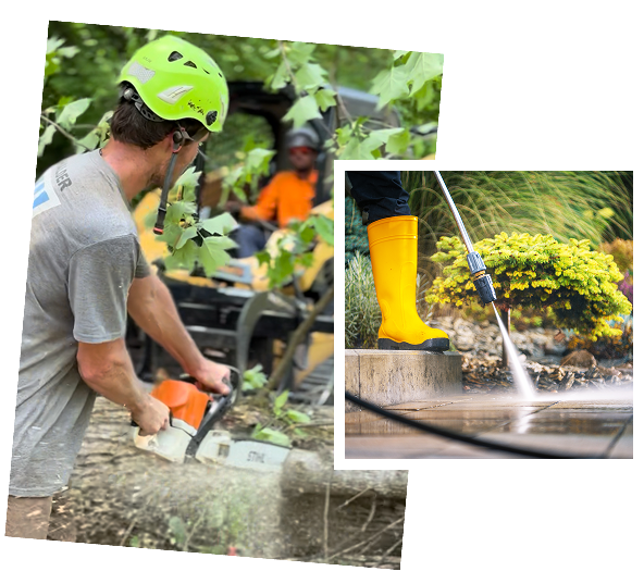 Man cutting a tree with a chainsaw outdoors.